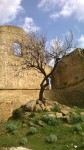 Scorci di Sicilia