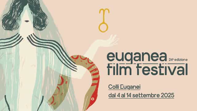 GRAFICA EFF2025